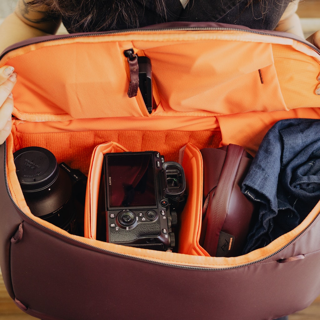 Everyday Backpack Zip | 20L | Eclipse
